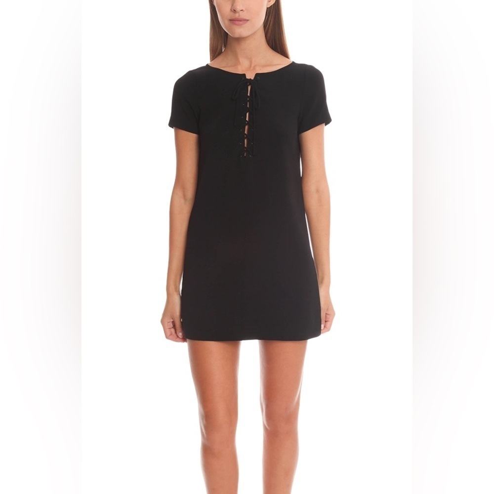 Elizabeth & James Crepe Rheyan mini dress